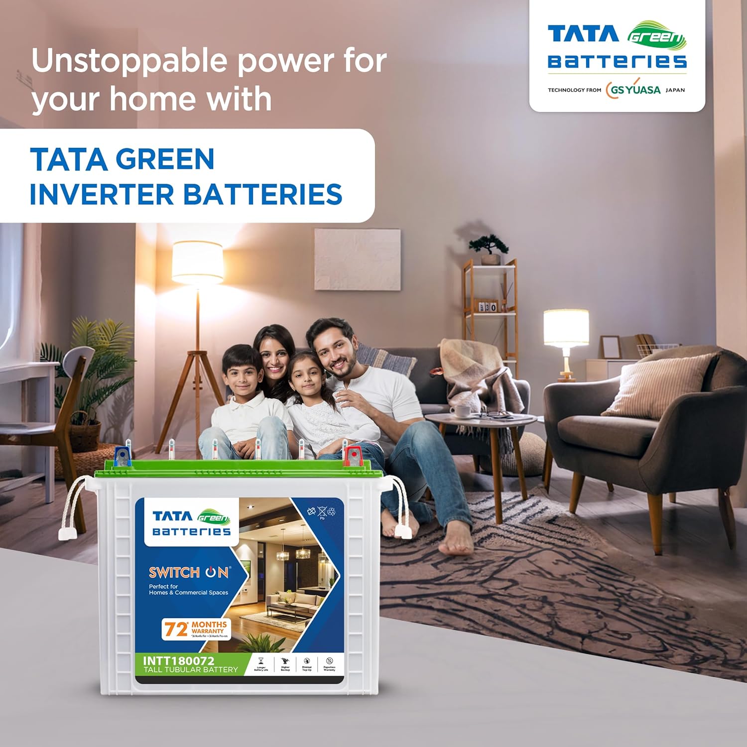 Tata Green Batteries INTT180072